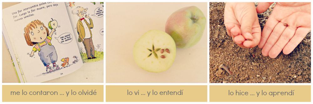 proverbio de confucio