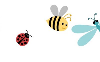 fotos de insectos para el sorteo de primavera 2016